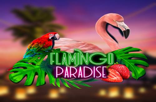 Flamingo Paradise