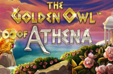 The Golden Owl of Athena
